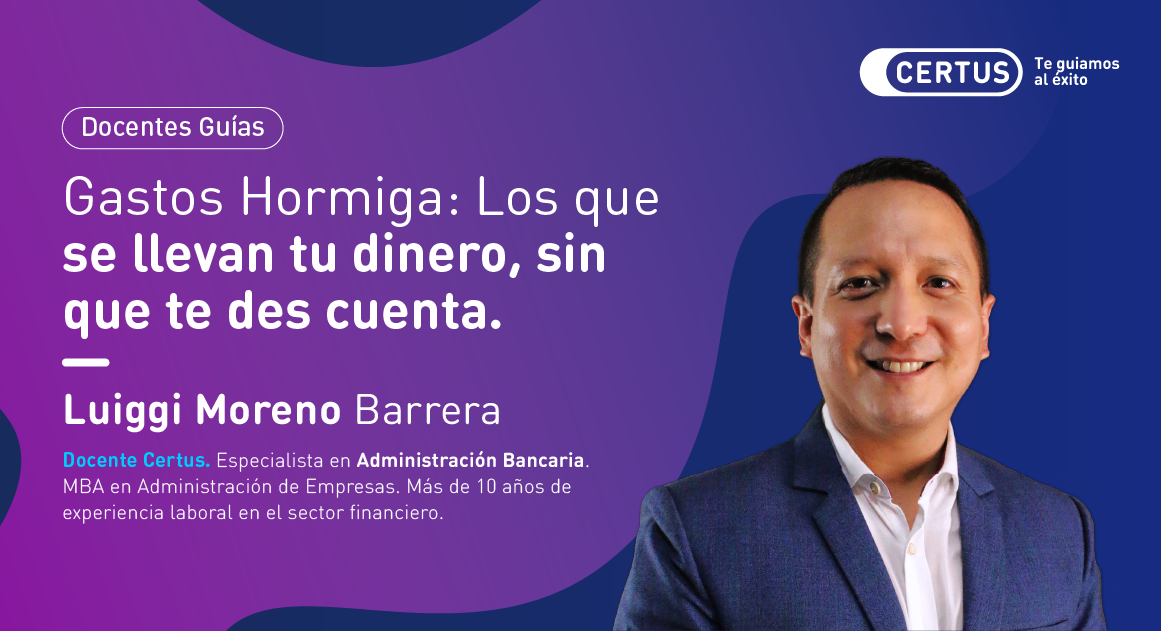 Gastos Hormiga: Los que se llevan tu dinero, sin que te des cuenta.